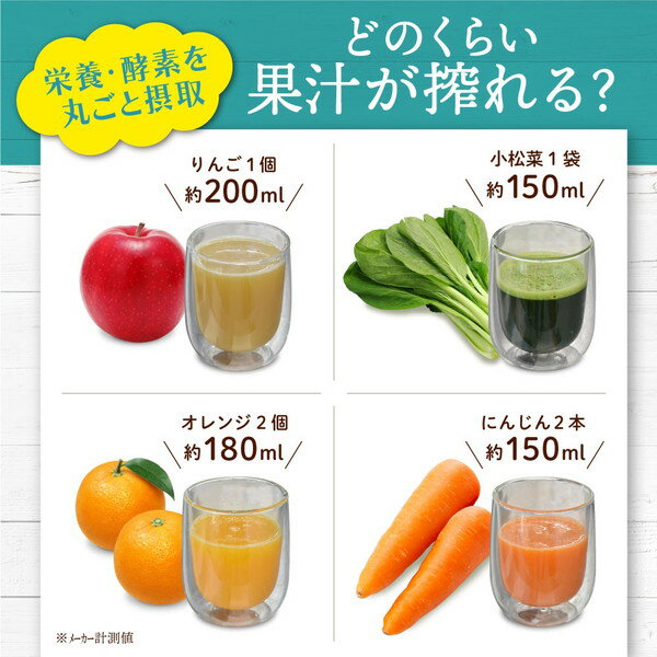 サンコー フレッシュスロージューサー WHSLJUSBK(1個)