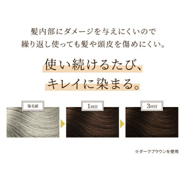 アンファー スカルプD ボーテ ヘアカラートリートメント ダークブラウン 200g
