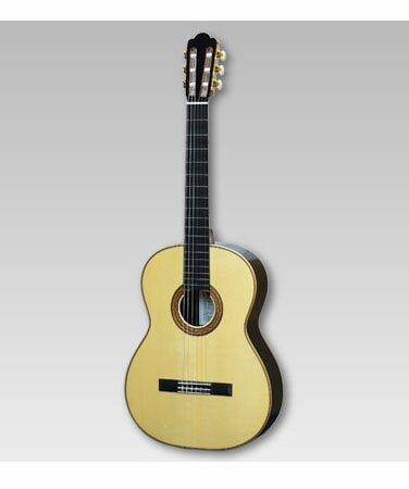 楽天市場】ロッコーマン 小平ギター KODAIRA GUITAR AST-150S （商品口コミ・レビュー）| 価格比較 - 商品価格ナビ