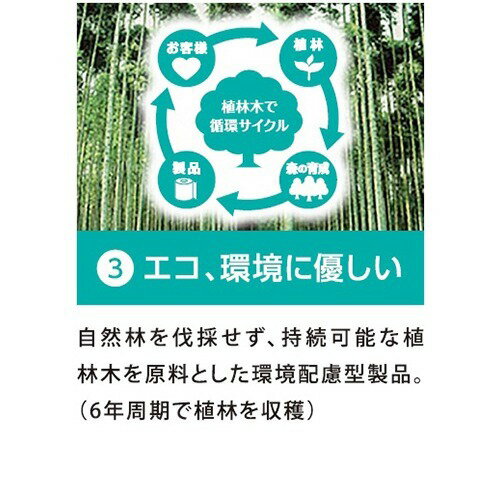 リビィ ペーパータオル ミニ(200枚入)(200枚入)