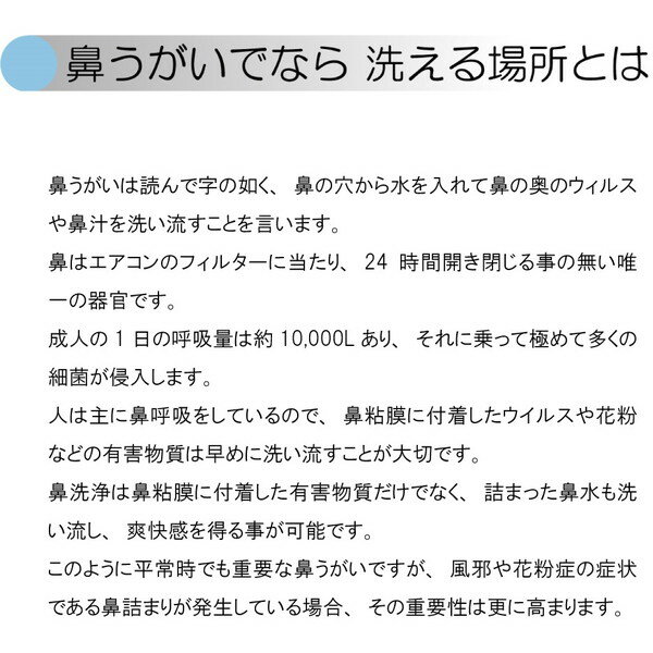 電動ミスト式鼻洗浄器 NOPPY(ノッピー)(1台)