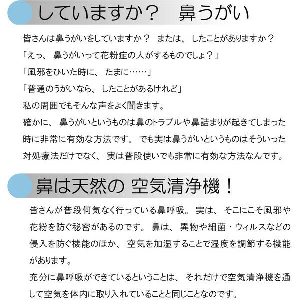 電動ミスト式鼻洗浄器 NOPPY(ノッピー)(1台)