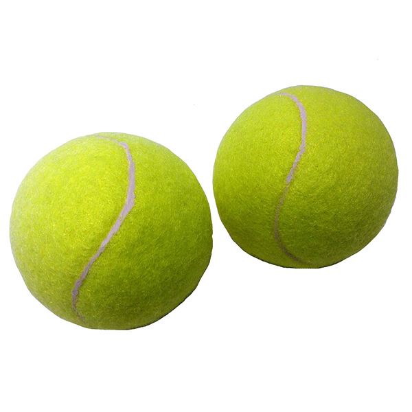 楽天市場 レジンクラフト ビーアクティブ Be Active 硬式テニスボール 練習用 Ba 51 価格比較 商品価格ナビ
