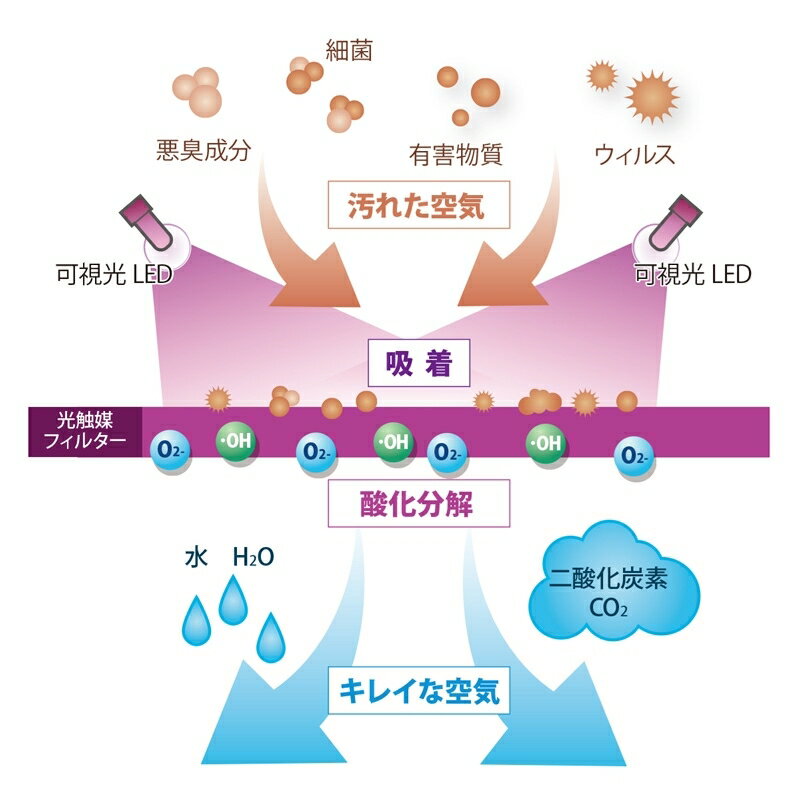 楽天市場】カルテック カルテック 光触媒 脱臭・除菌機能付きLED電球 