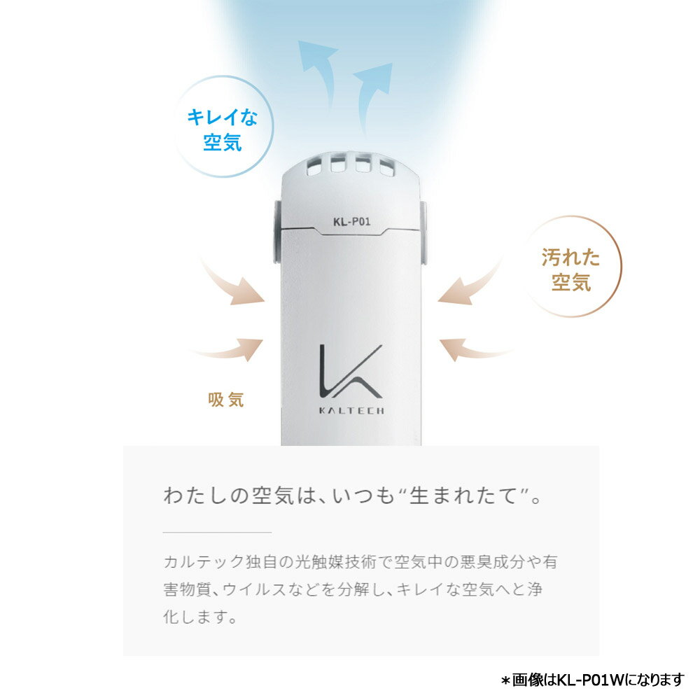 楽天市場】カルテック カルテック 光触媒 除菌・脱臭機 ターンド