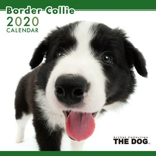 楽天市場 アーリスト The Dog 年版カレンダー ボーダー コリー 1冊 価格比較 商品価格ナビ