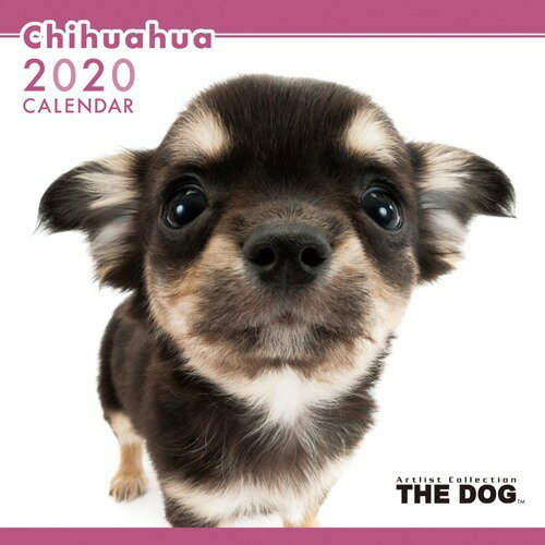 楽天市場 アーリスト The Dog 年版カレンダー チワワ 1冊 価格比較 商品価格ナビ