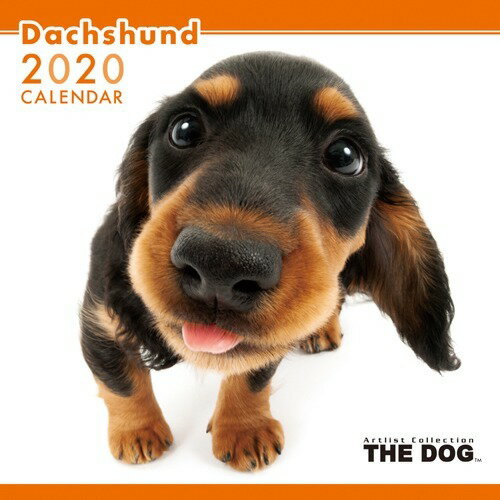 楽天市場 アーリスト The Dog 年版カレンダー ダックスフンド 1冊 価格比較 商品価格ナビ