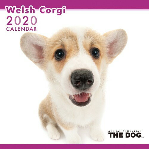 楽天市場 アーリスト The Dog 年版カレンダー ウェルシュ コーギー 1冊 価格比較 商品価格ナビ
