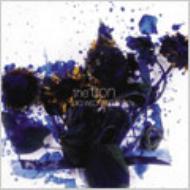 BIG　WEDNESDAY　80’s/ＣＤ/STRH-003