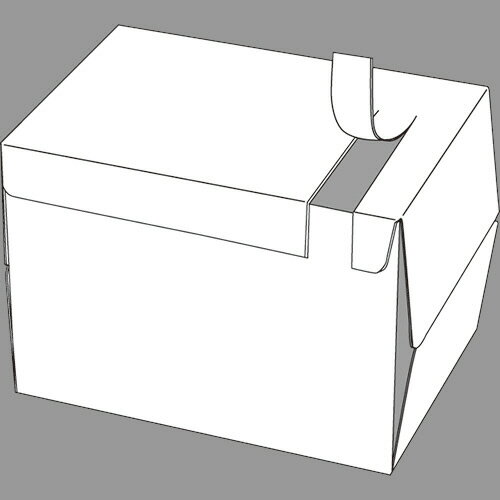 tanosee ppc用紙 pure white a3  /箱 ppcpw-a3