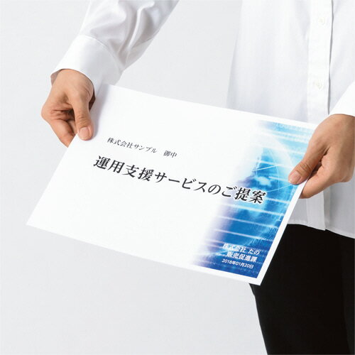 tanosee ppc用紙 snow white 75 a3  /箱 ppcsw75-a3