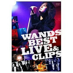 wands ベスト ジャケット オファー