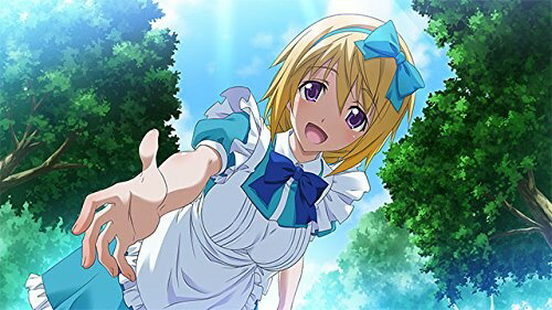 IS＜インフィニット・ストラトス＞2 ラブ アンド パージ/Vita/VLJM35237/C 15才以上対象