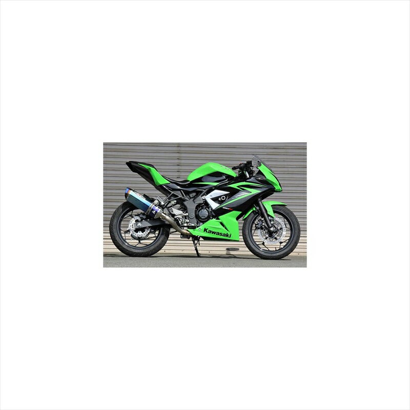 楽天市場】日本ビート工業 日本ビート工業 Ninja250SL ニンジャ 15年 NASSERT-R ナサート Evolution ST250F用 |  価格比較 - 商品価格ナビ