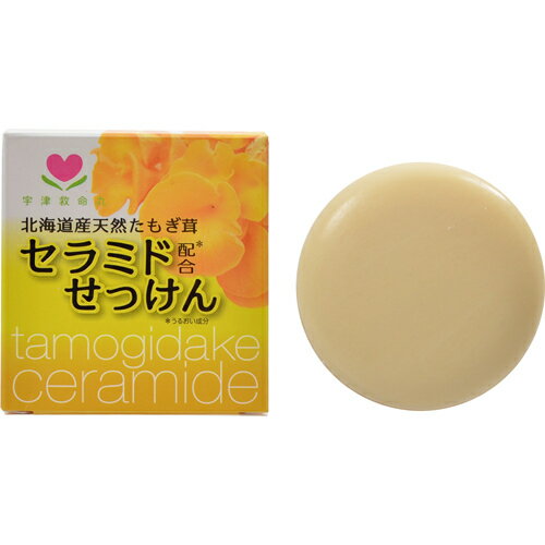 楽天市場 イーファイト 北海道産天然たもぎ茸 セラミドせっけん 100g 価格比較 商品価格ナビ