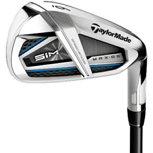 TaylorMade - テーラーメイドゴルフ アイアンスチールシャフト 2019