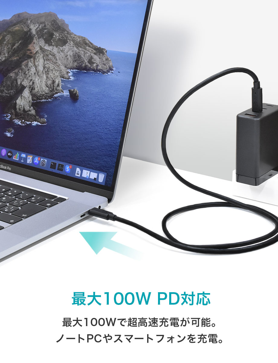 CIO Type-C to Type-C ケーブル ブラック CIO-CCPD100W-1-BK