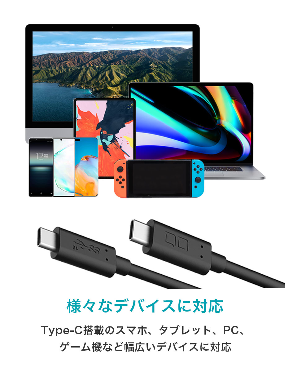 CIO Type-C to Type-C ケーブル ブラック CIO-CCPD100W-1-BK
