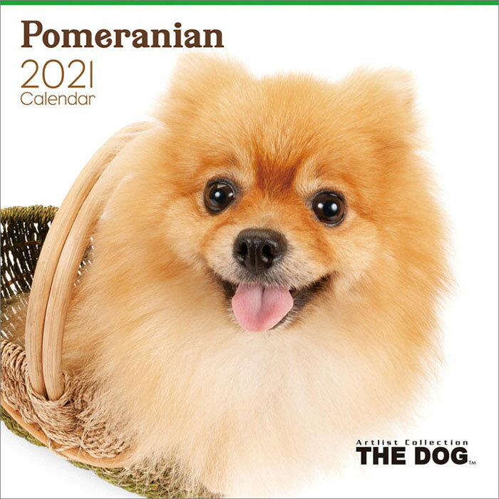 楽天市場 わくわく製作所 わくわく製作所 21年 The Dogカレンダー ポメラニアン 1個 価格比較 商品価格ナビ
