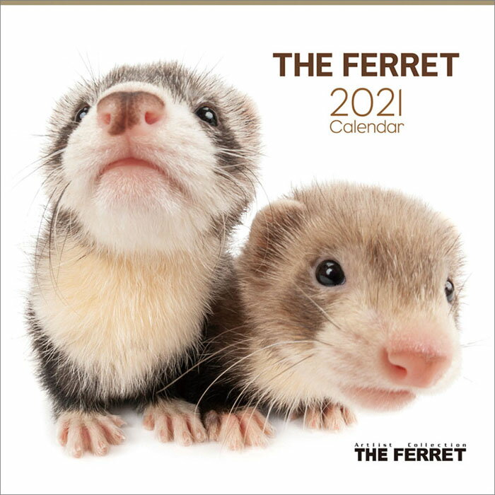 楽天市場 わくわく製作所 わくわく製作所 21年 Theferretカレンダーフェレット 1個 価格比較 商品価格ナビ