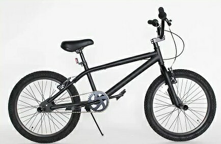 BMX REI TOKYO CUSTOM 20インチ自転車Code Name:moineauモアノBMXストリートトリック生産REIマットブラック