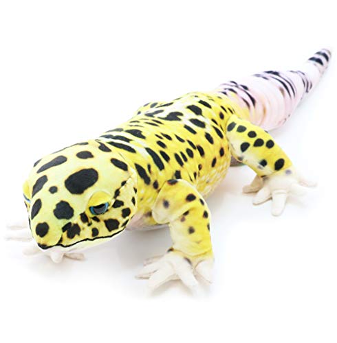 楽天市場 太洋産業貿易 Wild Graphy ワイルドグラフィ ぬいぐるみヒョウモントカゲモドキ 価格比較 商品価格ナビ