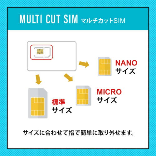 モバイル・プランニング 20211117-3300 プリペイドSIM 20GB 365日 ドコモ