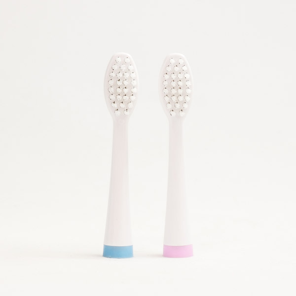 CAREISM ESB007用替えブラシ2本入り LKB-01