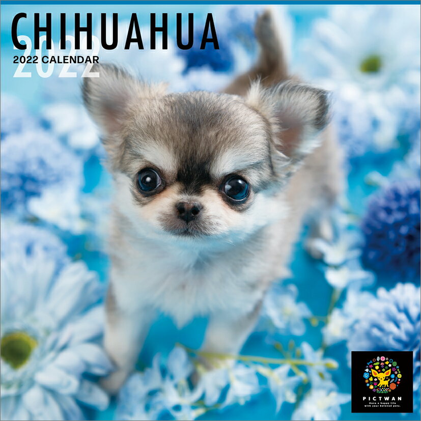 楽天市場 インターズー クリニッククラブ インターズー クリニッククラブ カレンダー 22 L版 チワワ 1個 価格比較 商品価格ナビ