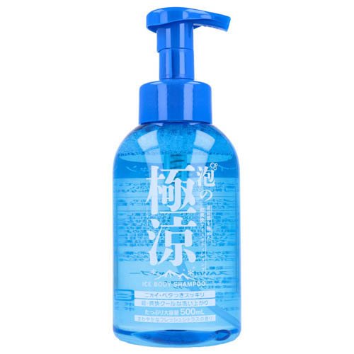 【大容量12本セット】 極涼 アイス ボディシャンプー (1000mL) 大容量12本セット】 極涼 アイス ボディシャンプー (1000mL)