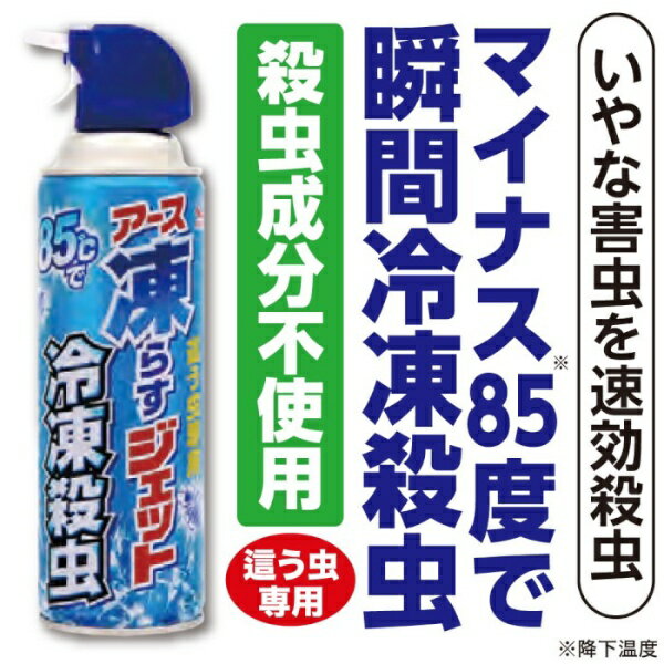 楽天市場】アース製薬 凍らすジェット冷凍殺虫 300mL | 価格比較