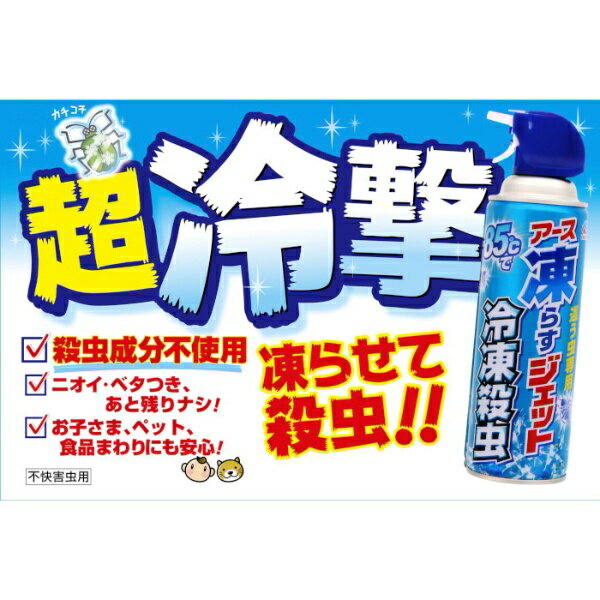 楽天市場】アース製薬 凍らすジェット冷凍殺虫 300mL | 価格比較