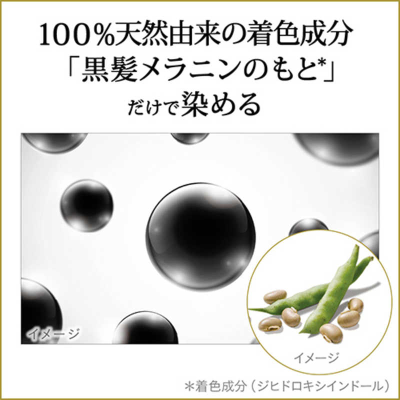 ブローネ リライズ 白髪用髪色サーバー リ・ブラック まとまり仕上げ つけかえ(190g)