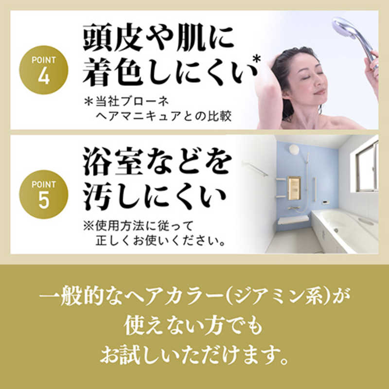 ブローネ リライズ 白髪用髪色サーバー リ・ブラック まとまり仕上げ つけかえ(190g)