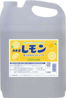 楽天市場】カネヨ石鹸 無添加泡のせっけんボディーソープ 5kg | 価格