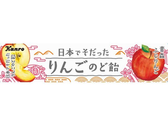 楽天市場】浅田飴 甜茶入りはなのど飴EX | 価格比較 - 商品価格ナビ