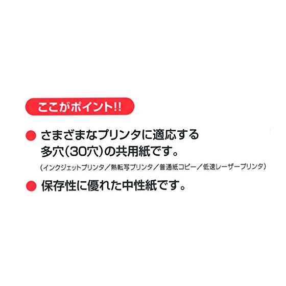 KOKUYO  PPC用紙 共用紙 多穴 KB-109H30N