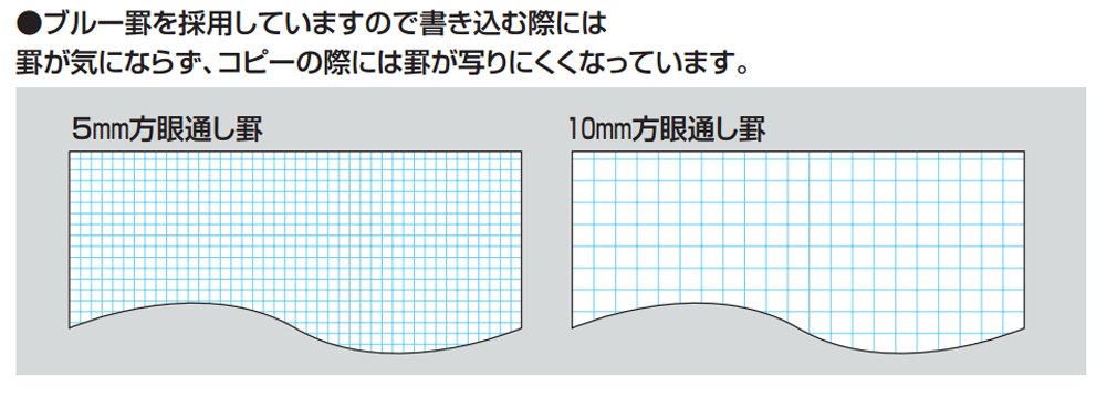 グラフ用紙 B1 1mmグラフ 50枚入 81 4g 700mm 1000mm方眼 M2 X アイ色 グラフサイズ 上質紙 数学 用紙 製図 設計 63 以上節約 1mmグラフ