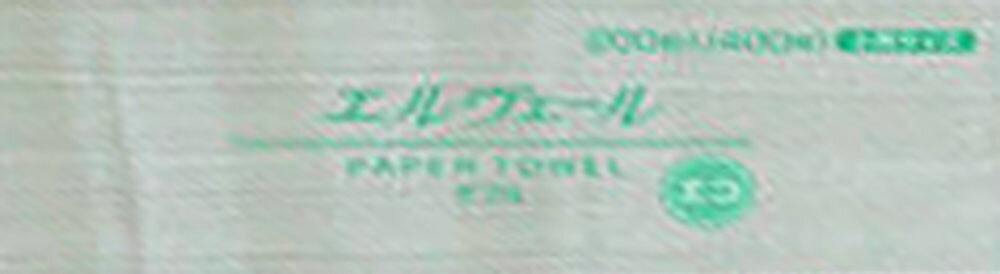 市場】大王製紙 エルフォーレ 業務用 ペーパータオル ダブル 大判サイズ(150組(300枚)) | 価格比較 - 商品価格ナビ