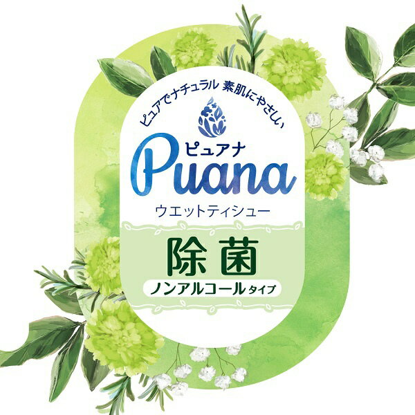 最大68％オフ！ ウェットティッシュ エリエール Puana ピュアナ ウェットティシュー 除菌ノンアルコール 本体 45枚 大王製紙360円  saropackaging.eu