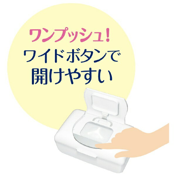 楽天市場】大王製紙 エリエール Puana(ピュアナ) ウエットティシュー 除菌 ノンアルコール つめかえ用(47枚*8個入) | 価格比較 -  商品価格ナビ