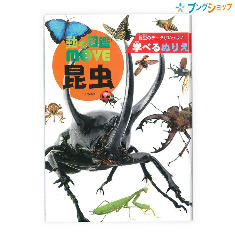 楽天市場 レモン レモン ぬりえ 昆虫王国 価格比較 商品価格ナビ