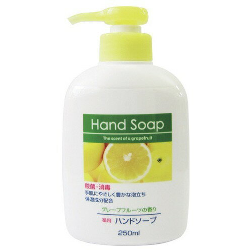 【楽天市場】第一石鹸 薬用ハンドソープ 250ml 価格比較 商品価格ナビ