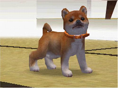 楽天市場 任天堂 Nintendogs ニンテンドッグス 柴 フレンズ ダックス フレンズ チワワ フレンズ Ds Ntrpad3j A 全年齢対象 価格比較 商品価格ナビ