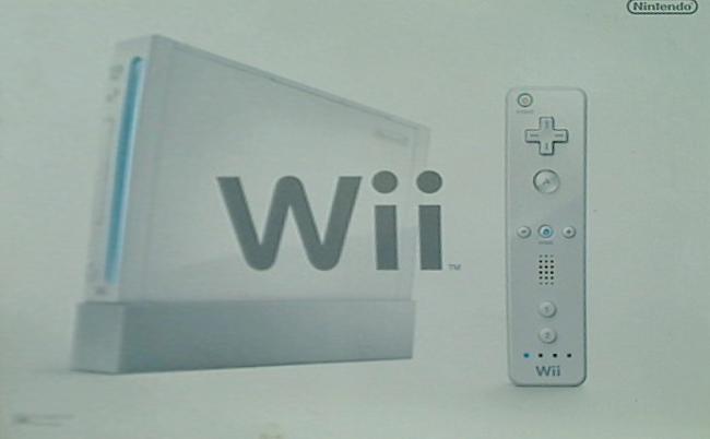 Nintendo Wii RVL-S-WA 本体
