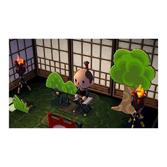 とびだせ どうぶつの森（ハッピープライスセレクション）/3DS/CTR2EGDJ/A 全年齢対象