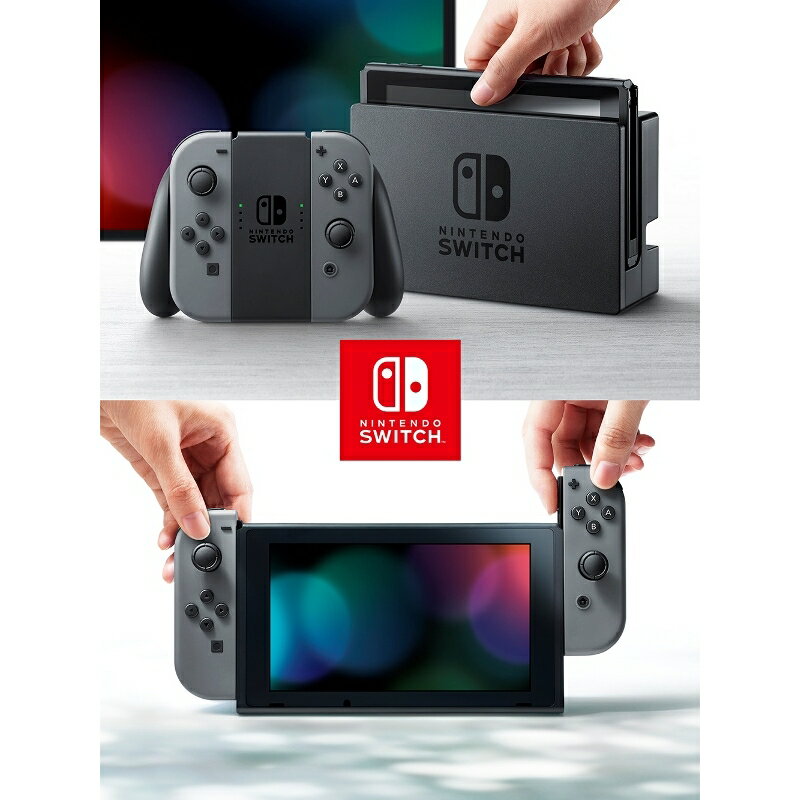 Nintendo Switch JOY-CON グレー 本体 HAC-S-KAAAA