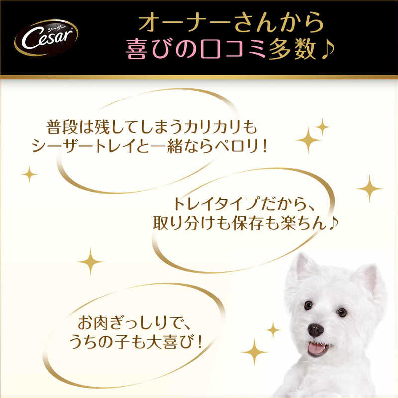 マースジャパンリミテッド ＣＥ２５シーザー吟撰ビーフビーフ１００ｇ