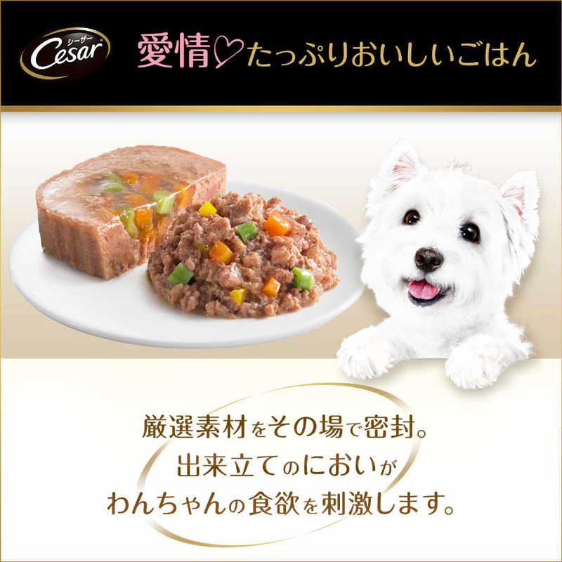 マースジャパンリミテッド ＣＥ２５シーザー吟撰ビーフビーフ１００ｇ